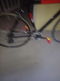 Adult Bicycle with Rear Reflectors