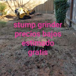 Stump Grinding