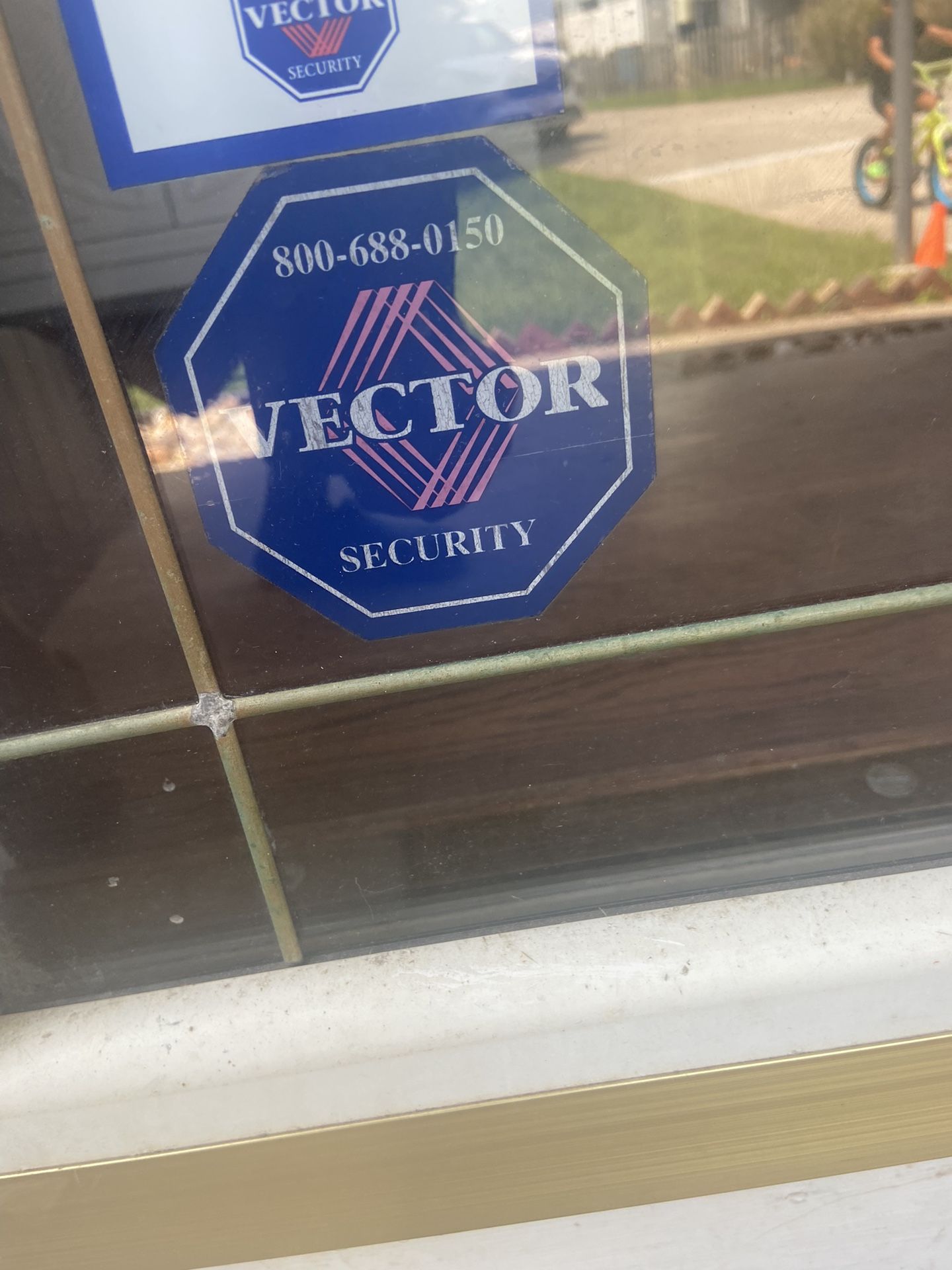 Vector Camera