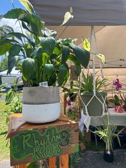 Plant Sale