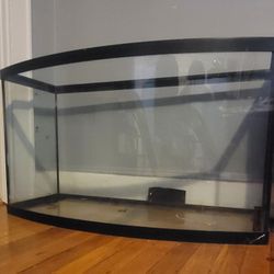 40" Curved Front  Fish Tank