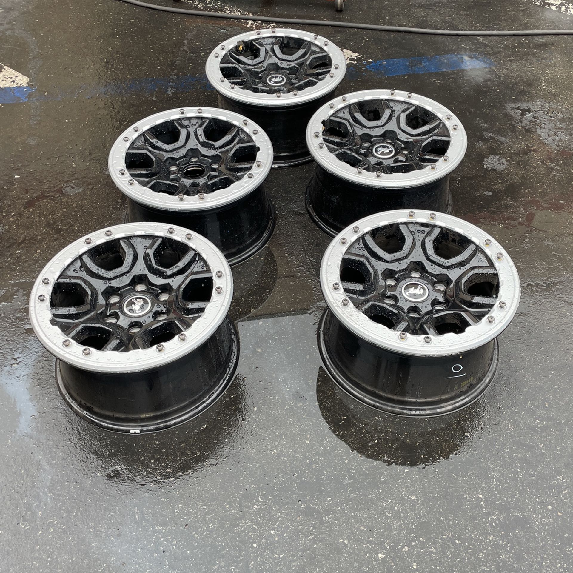 Stock Bronco Wheels