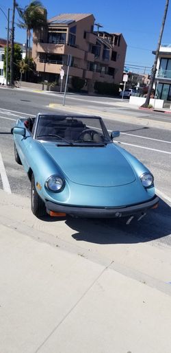 1982 Alfa Romeo Spider