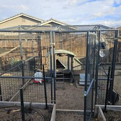 Chicken Run / Pen