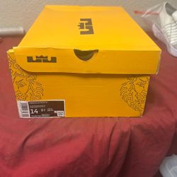 Nike Men's Lebron Witness 6