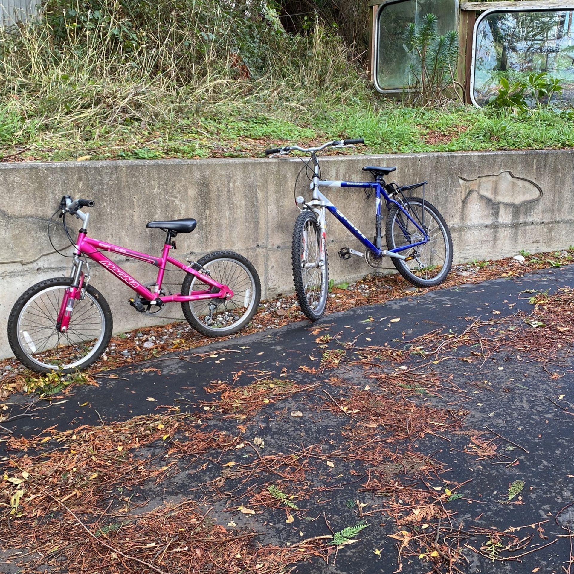 Free girls bike