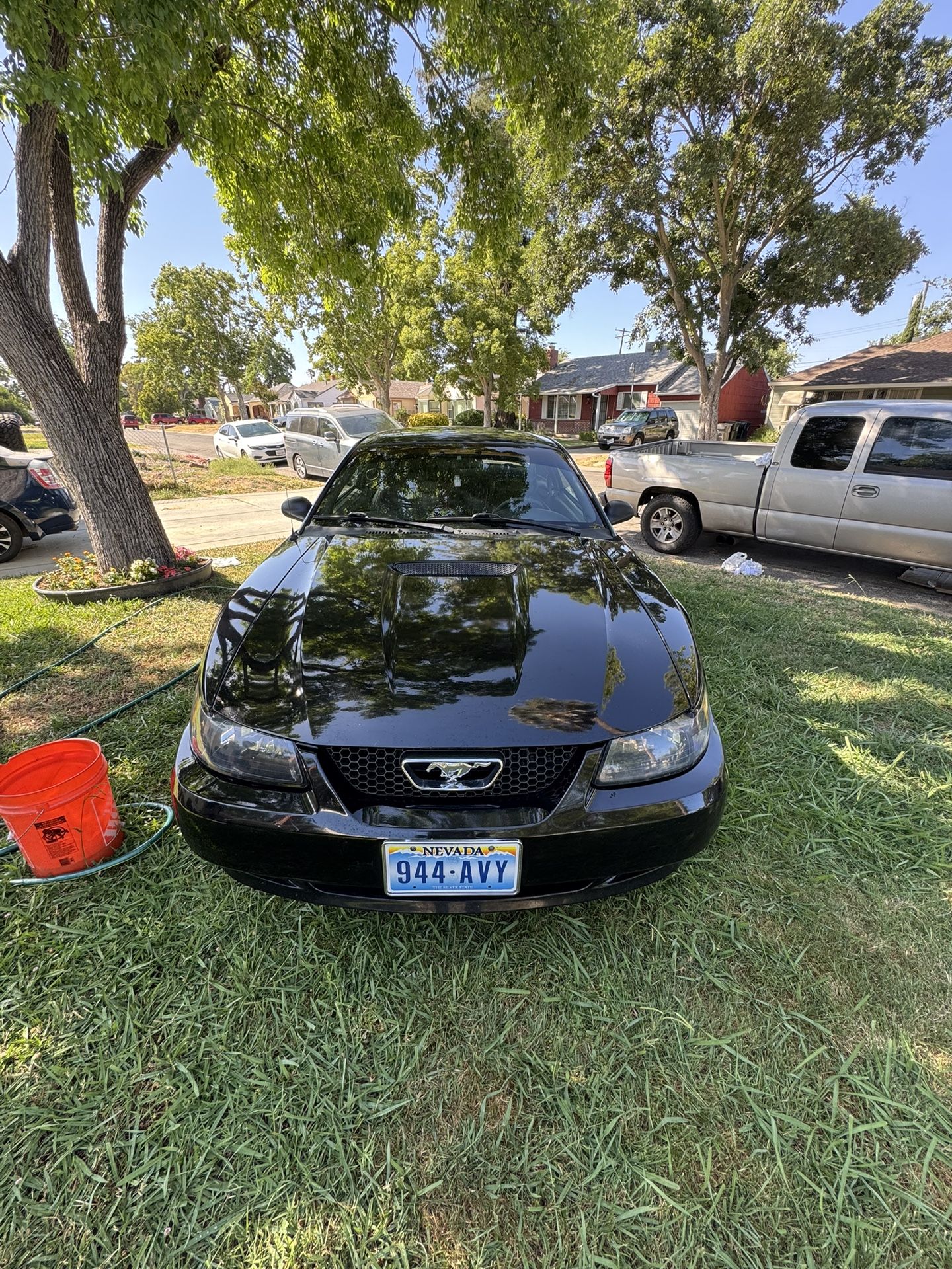 1999 Ford Mustang