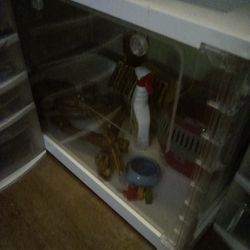 Hamster / Gerbil / Guinea Pig Tank With Much More