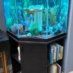 45 Gallon Corner Aquarium w/Stand, $150