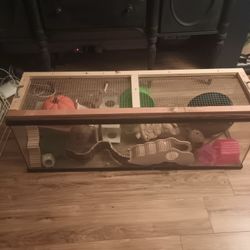 Hamster Cage