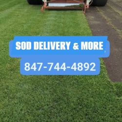 🌱Sod for Sale 🌱

