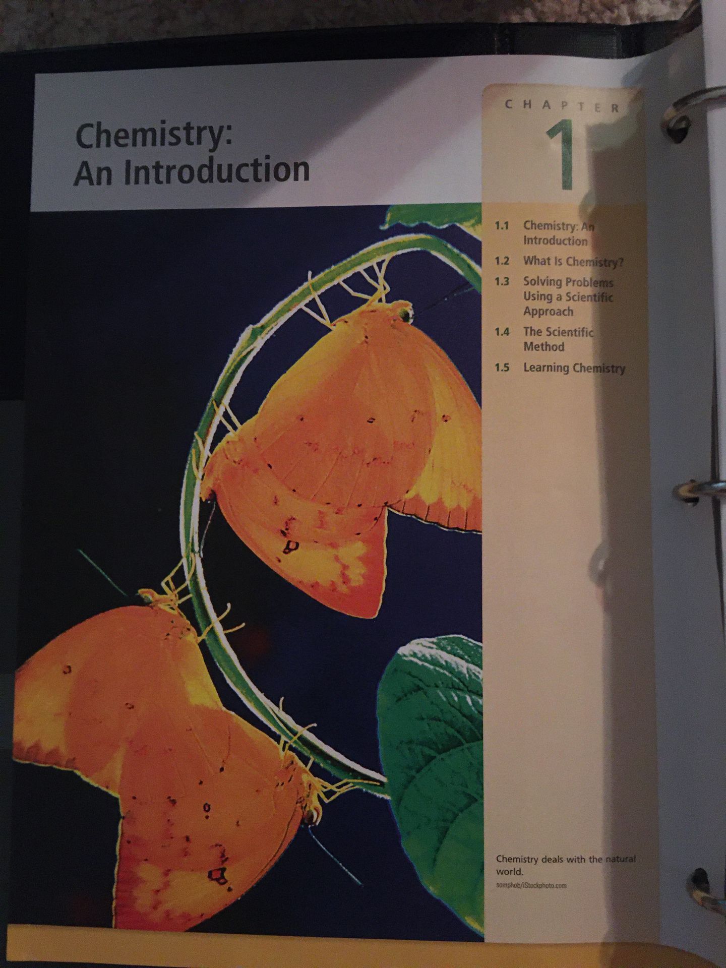 Zumdahl introductory chemistry textbook loose leaf