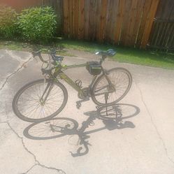 Finiss 21 Speed Road Bike