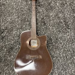 Acoustic / Electric Guitar 