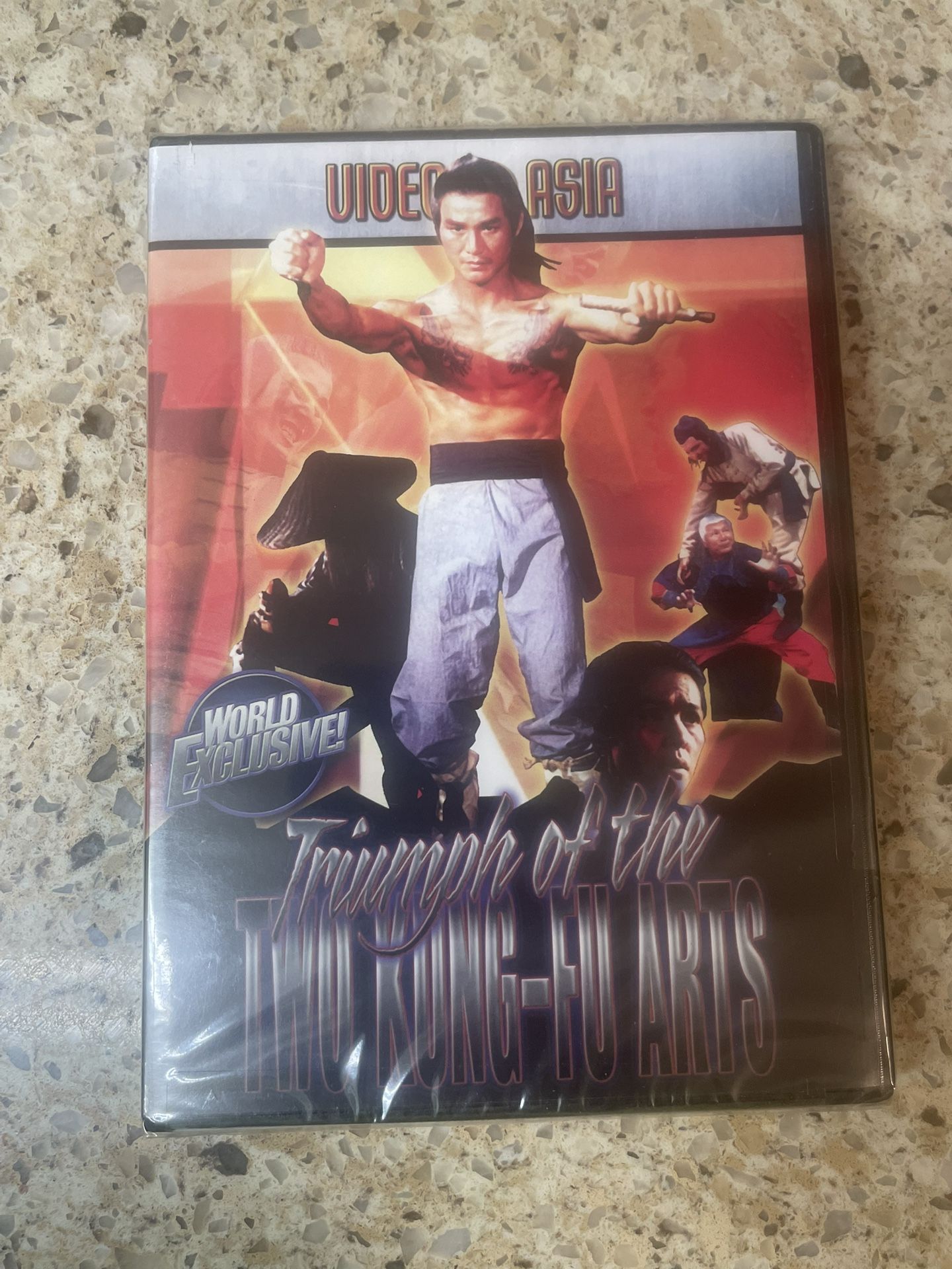 Triumph of the Two Kung-Fu Arts (DVD) - Chen Hui Man