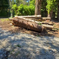Free Firewood Cedar/fir