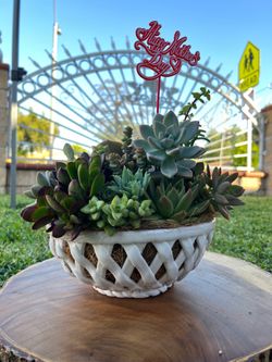 Mother’s Day Succulent arrangement
