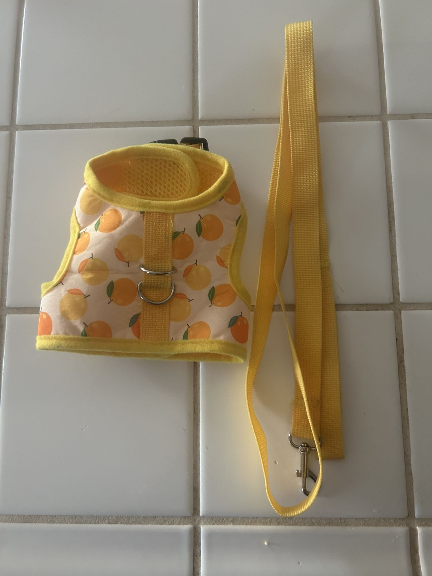 Cat Leash