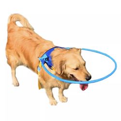 NEW Dog anti-collision collar For Blind Dogs Size M Adjustable