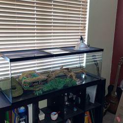 Reptile Tank