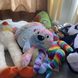 Medium To Large Stuff Toys -7