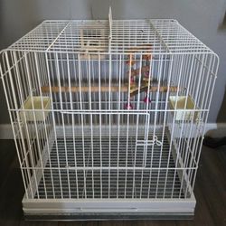 Cage For Birds 