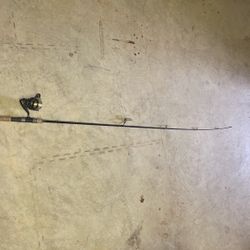 Diawa fishing rod