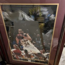 Sport Frames Usc 