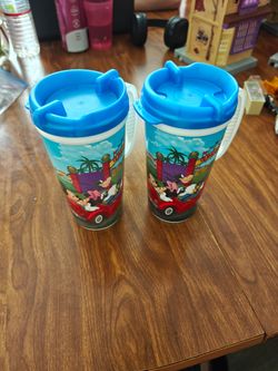 Disney World reusable cups