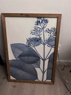 Frames/Marcos
