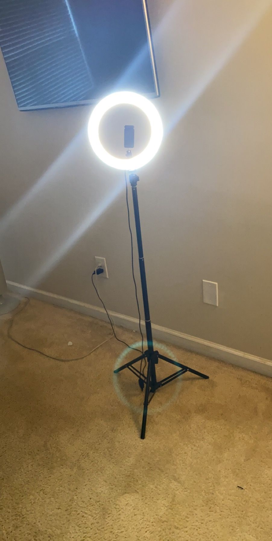 Led ring stand 10”