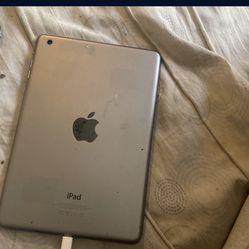 Apple Ipad
