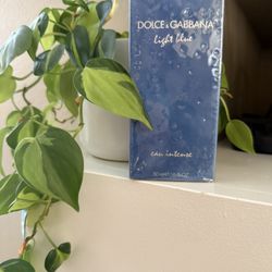 Dolce & Gabbana Light Blue Women