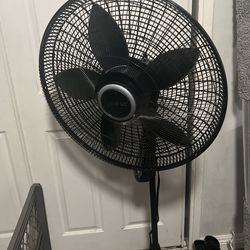 Fan