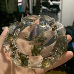 Bud Ash Trays  (CDB)