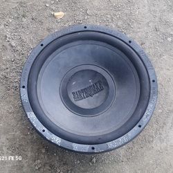 15 Inch Subwoofer Earthquake