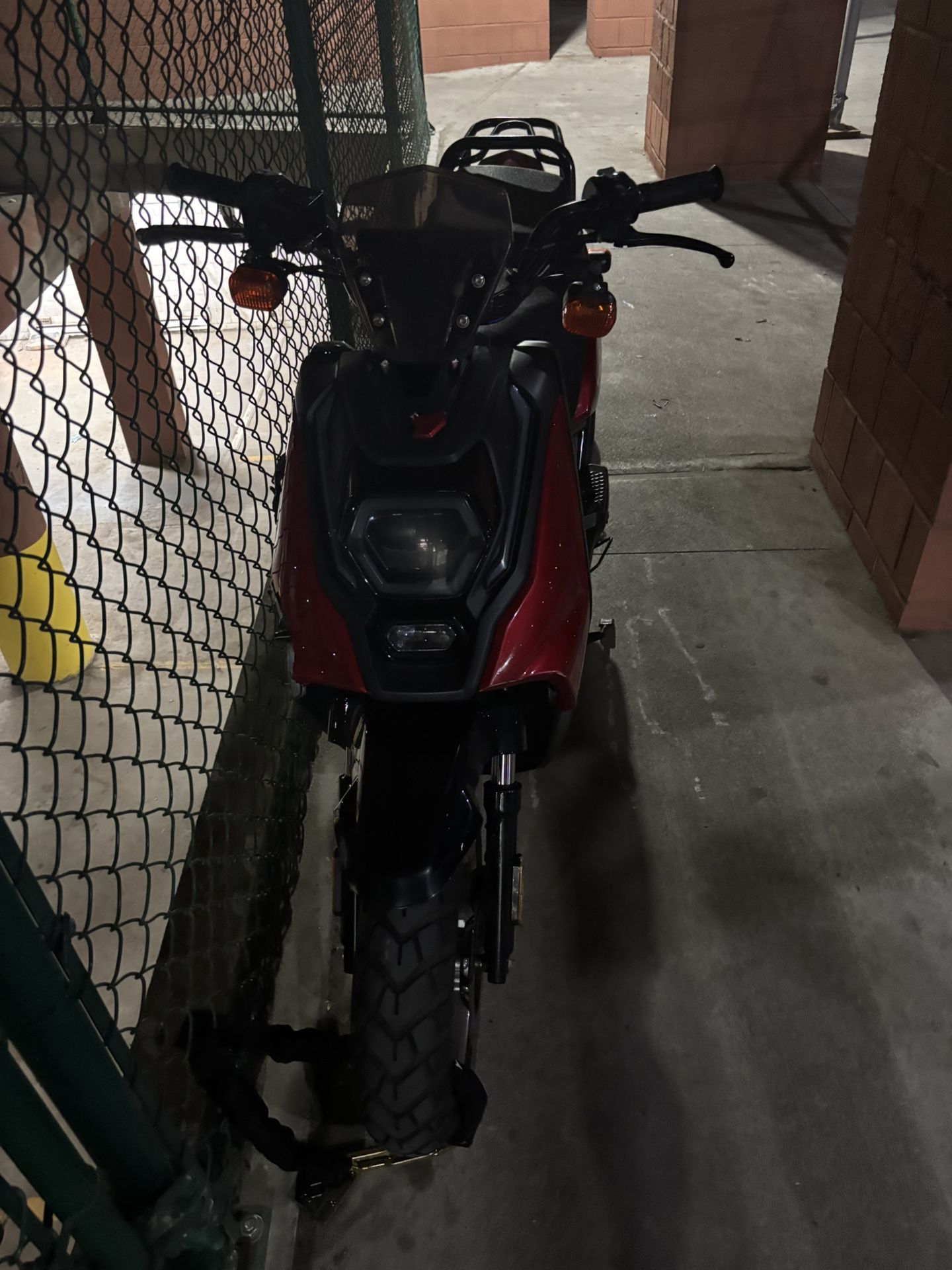 T-rex 150cc Transpro