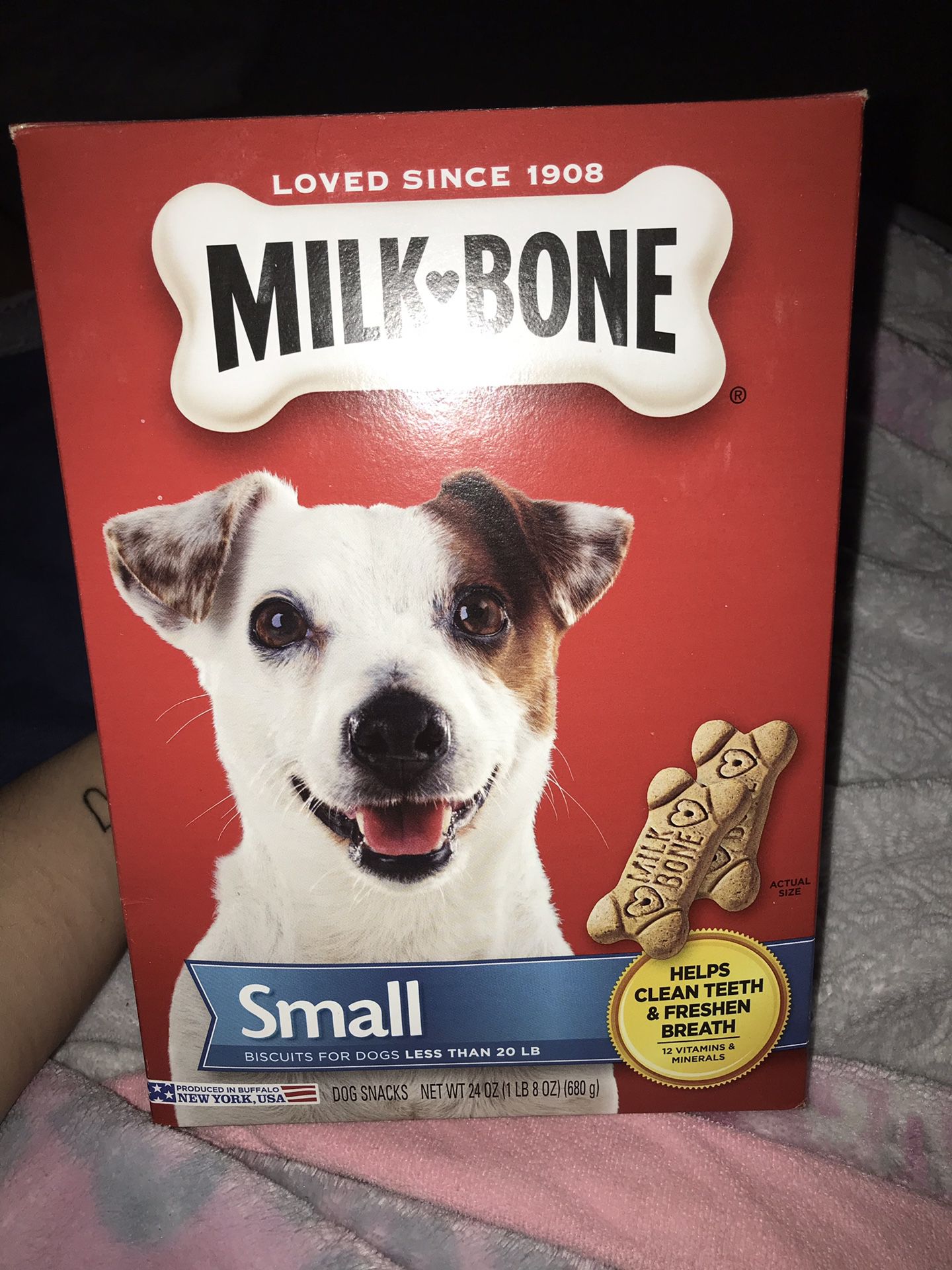 Milk bone ( small )