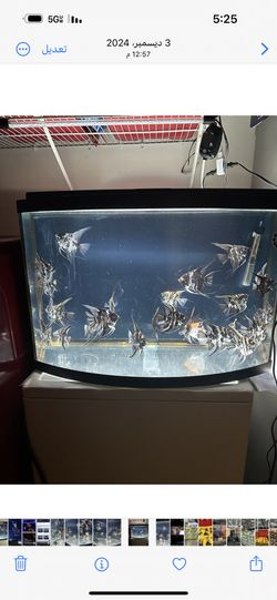 40 Gallon Aquarium
