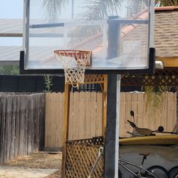 Official Basketball Hoop 