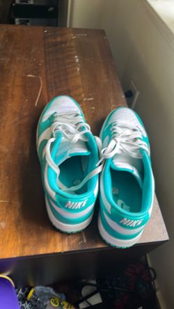 Nike dunks size 11