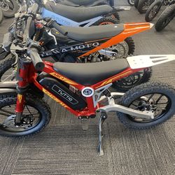 Tuttio ARC 1 750W/48V Electric Bike