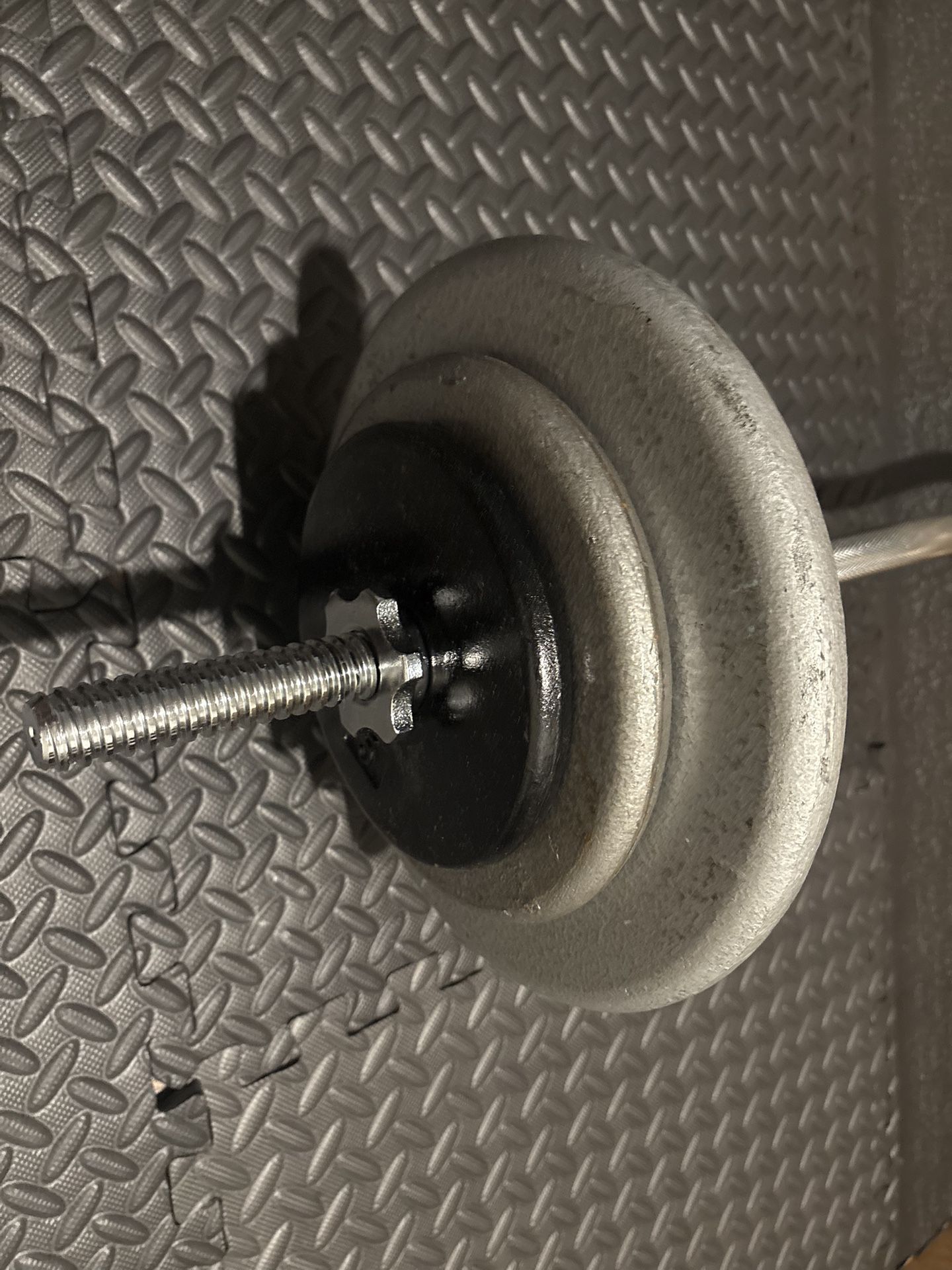 NEW Standard Steel Curl Bar with Cast Iron Weight Plates Gently Used pairs: 24#, 10 & 5 #. Total: 96 pounds