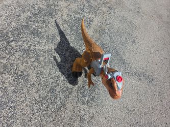 Kids Toy 