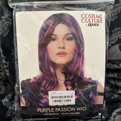 Costume Wig