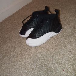Jordan 12 
