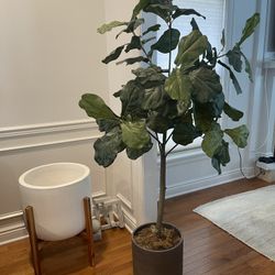 Fax Tree With Pot
