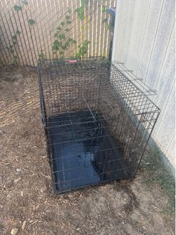 Dog Crate H. 29 W.42” D. 28” $60 Cash only