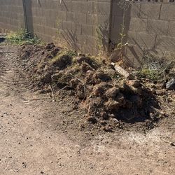 Cash To Pick Up Today