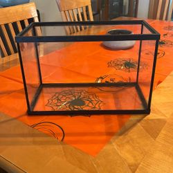 5 Gallon Fish Tank